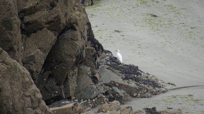 Randonnée à l'anse d'Yffiniac et la maison de la baie - Hillion (Côtes d'Armor) Randonnée à l'anse d'Yffiniac et la maison de la baie - Hillion (Côtes d'Armor)